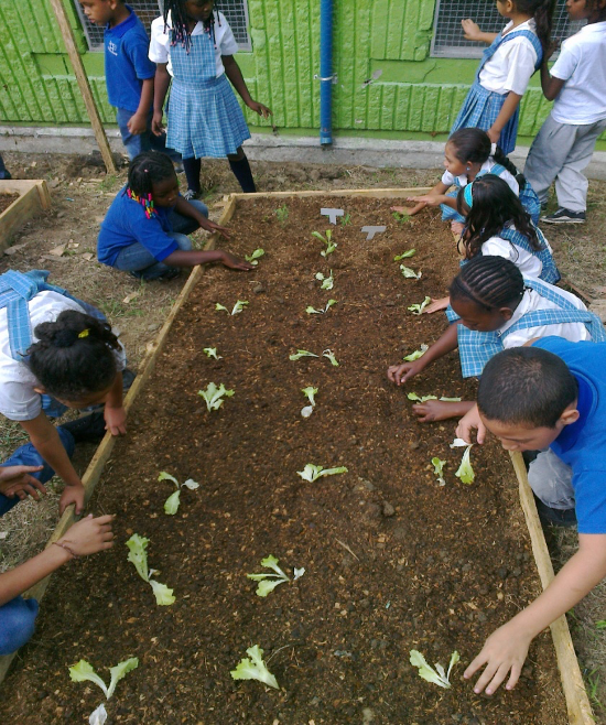 Huerta_niños